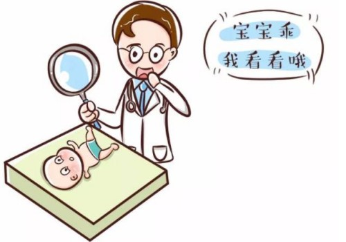 四联疫苗好还是单苗好？四联疫苗的费用大概是这些